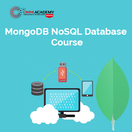 MongoDB Course