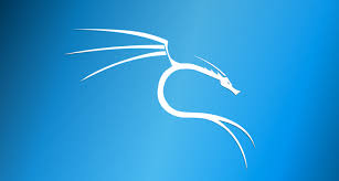 network penetration testing