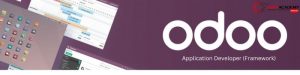 Odoo Application Developer (Framework)