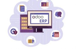 Odoo Application Developer (Framework)