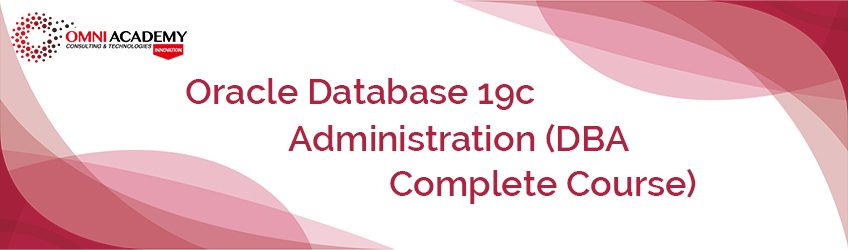 oracle 19c database administration pdf free download