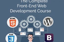 Web Developer