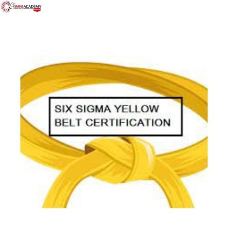 six sigma yellow belt