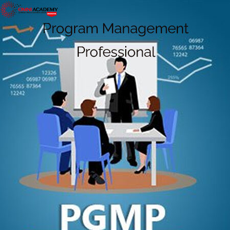 Program Management Professional (PgMP)