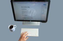 Freelancing for WordPress Developmen
