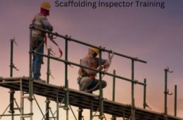 Scaffolding Inspector